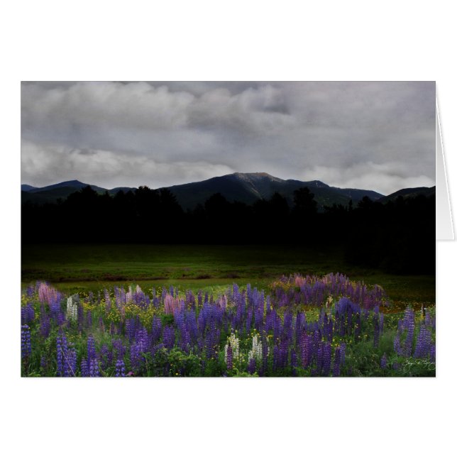 Abenddämmerung über die Franken (Vorderseite (Horizontal))