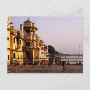 Abendessen bei Ganghaur Ghat, Udaipur, Rajasthan,  Postkarte