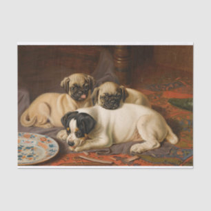 Abendessen, Zwei Mops und ein Terrier von Horatio  Seidenpapier