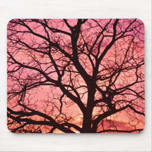 Abendrot Baum Silhouette Mousepad