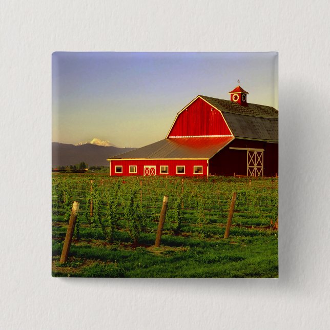 Abendsonne auf einer Scheune in Washingtons Skagit Button (Vorderseite)