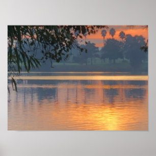 Abendsonne Poster
