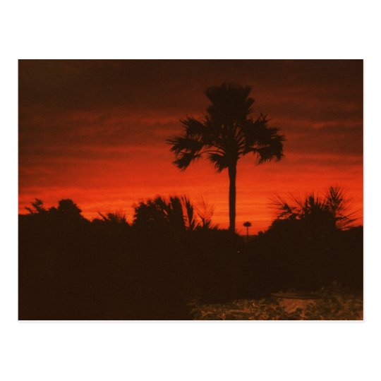 Abendstimmung, Senegal Postkarte