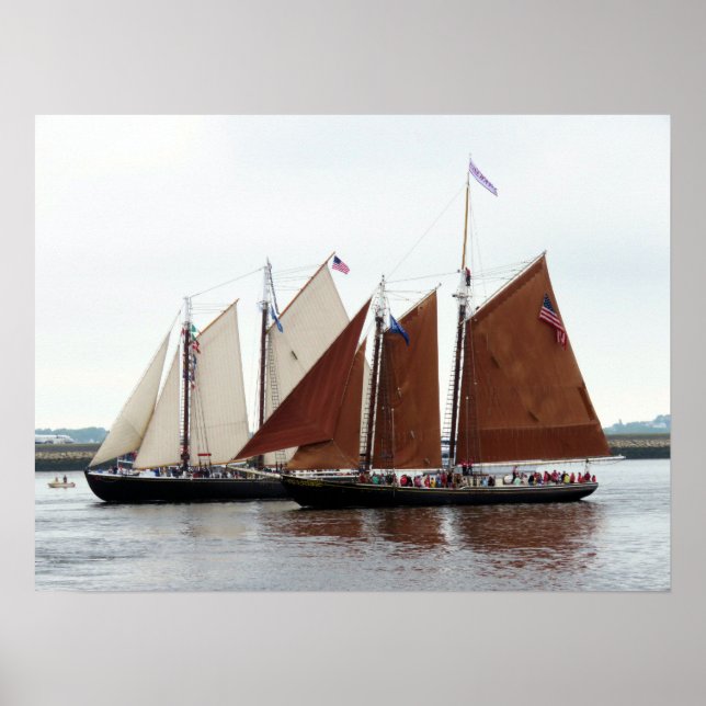 Abenteuer und Roseway Poster (Vorne)