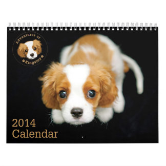 Abenteuer von Kingsley 2014 Kalender