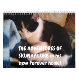 Abenteuer von Skunky Luke Kalender