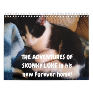 Abenteuer von Skunky Luke Kalender