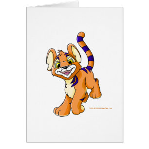 Abenteuerliches orange Kougra