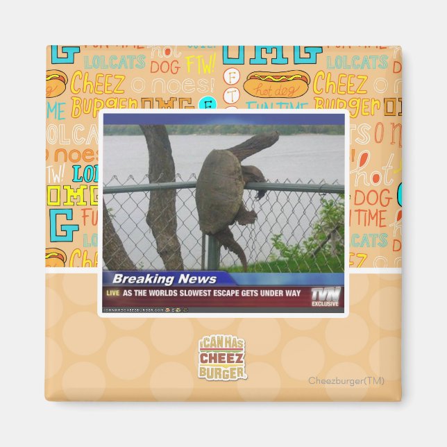 Abenteuerschildkröte Magnet (Vorne)