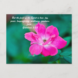Aber die Frucht des Geistes ist Liebe, Freude, Fri Postkarte
