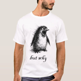 aber warum Pinguin T-Shirt