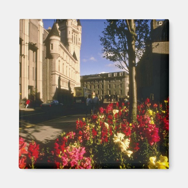 Aberdeen Blume Magnet (Vorne)