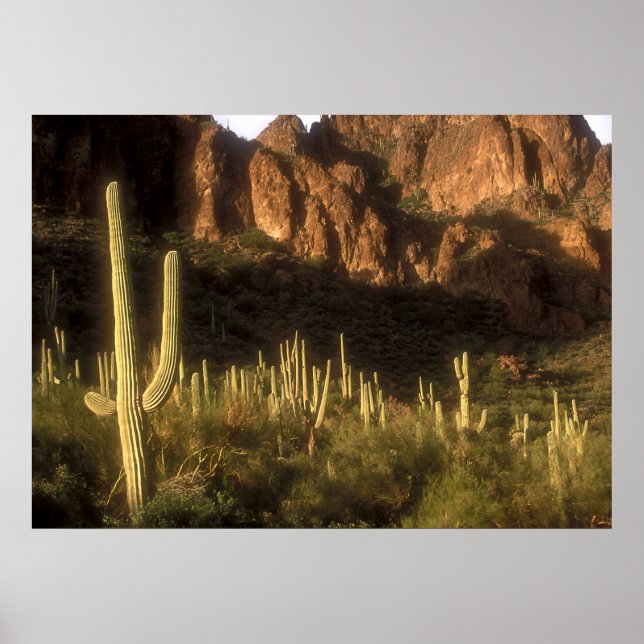 Aberglaube Poster (Vorne)