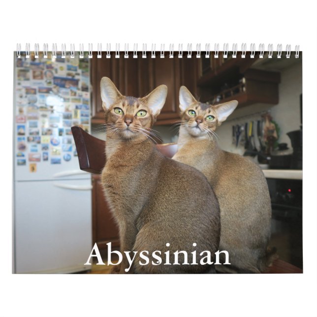 Abessiner Kalender (Titelbild)