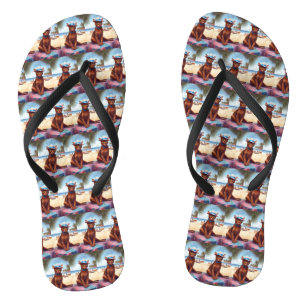Abessinienkatze am Strand, Sommergeschenk für Katz Flip Flops