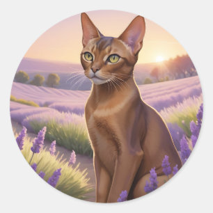 Abessinienkatze auf dem Lavenderfeld Runder Aufkleber
