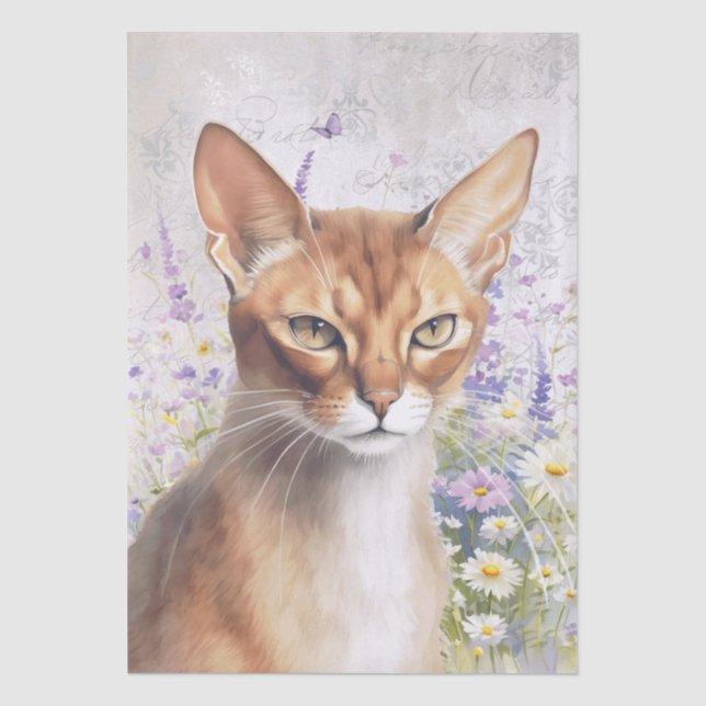 Abessinierkatze Aquarell Seidenpapier (Vorderseite)