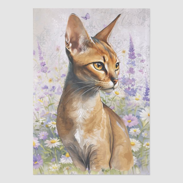 Abessinierkatze Aquarell Seidenpapier (Vorderseite)