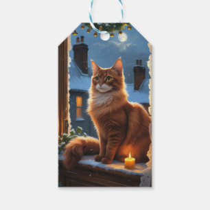 Abessinierkatze mit Weihnachtslichtern Feiertag Geschenkanhänger