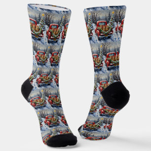 Abessinierkatze Weihnachten Rotes Lastwagen Ferien Socken