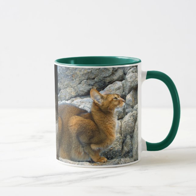 Abessinikatzen Tasse (Rechts)