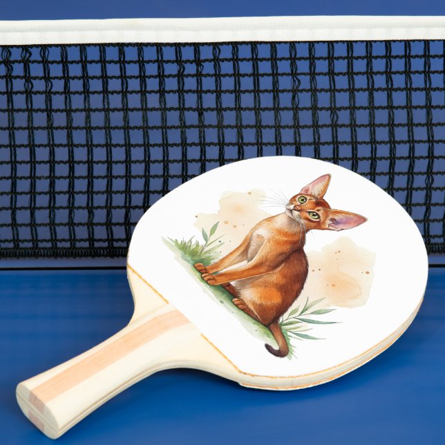 Abessinische Katze umgeben von sanften Farben und  Tischtennis Schläger (InSitu)