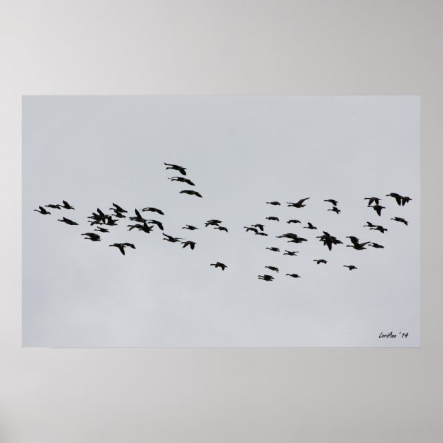 Abfahrt um 1 poster (Vorne)