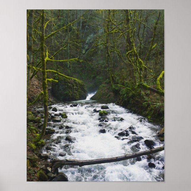 Abfahrt von Bridal Veil Falls, Oregon Poster (Vorne)