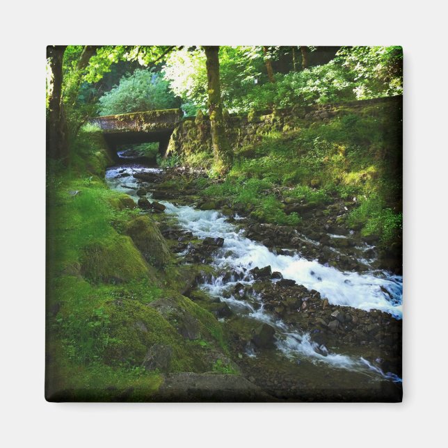 Abfahrt von Wahkeena Falls, Oregon Magnet (Vorne)