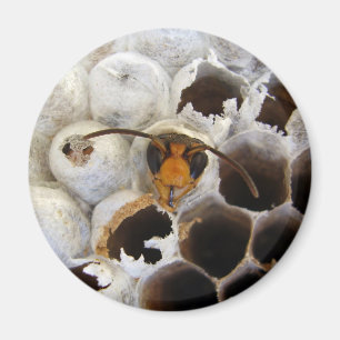 Abfall aus dem Nestmagnet Magnet