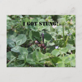 Abfall Postkarte