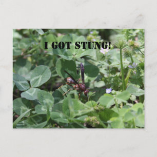 Abfall Postkarte