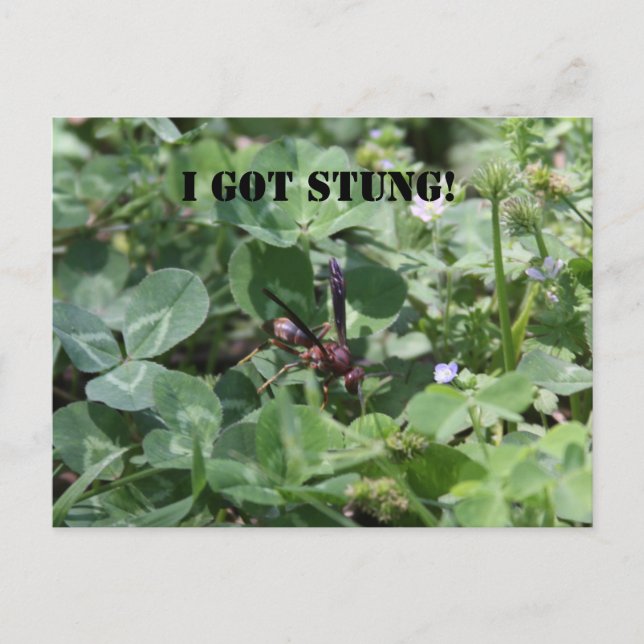 Abfall Postkarte (Vorderseite)