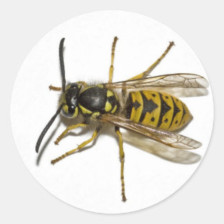 Abfall Runder Aufkleber