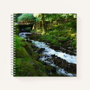 Abfluss von Wahkeena Falls, OR Notizbuch