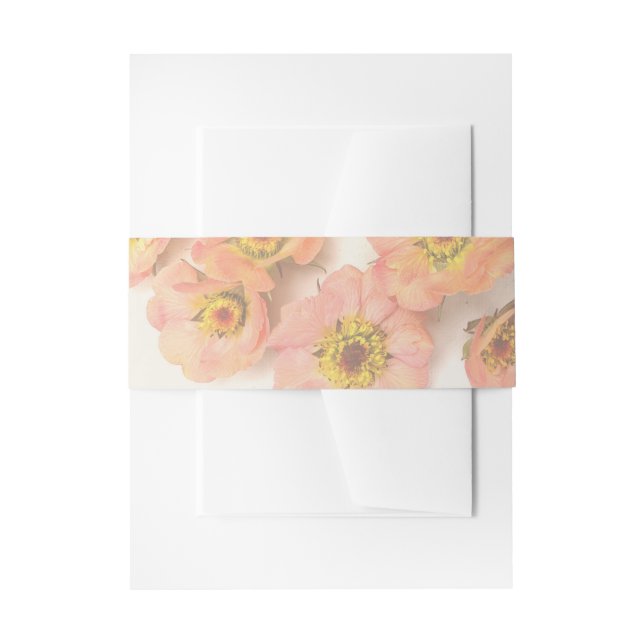 Abgeblendete Pfirsichgummi-Band Einladungsbanderole (Vorderseite Beispiel)