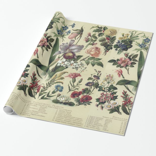 Abgeblendete Vintage Blume Botanicals Geschenkpapier (Ungerollt)