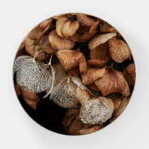 Abgeblendetes Hydrangea Round Paperweight