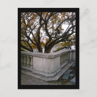 abgegrenztes Aquarium: Herbst Postkarte