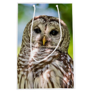 Abgehaltene Eule Mittlere Geschenktüte