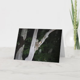 Abgehaltene Eulen-Gruß-Karte, leeres Innere Karte