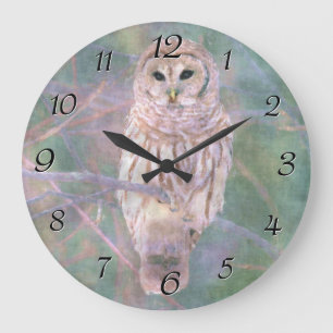 Abgehaltene Eulen-Pastell Oilpainting Große Wanduhr