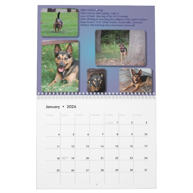 ABGELAUFEN: AIDog Kalender 2014 (Jan 2026)