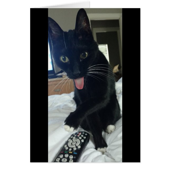 abgelegene Hühnerkatze (Vorne)