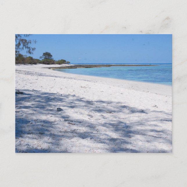 Abgelegener Strand Postkarte (Vorderseite)