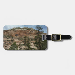Abgenutzte Felsmauern im Zion National Park Gepäckanhänger