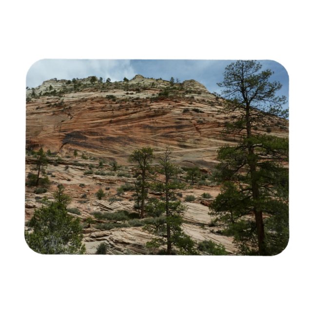 Abgenutzte Felsmauern im Zion National Park Magnet (Horizontal)