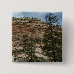 Abgenutzte Felsmauern im Zion-Nationalpark Button