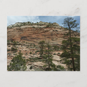 Abgenutzte Felsmauern im Zion-Nationalpark Postkarte