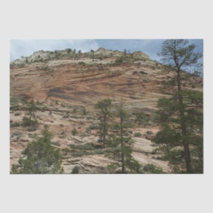 Abgenutzte Felsmauern im Zion-Nationalpark Seidenpapier